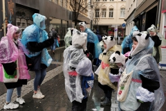 Teakwondo Panda Gruppe