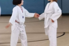 Gürtelprüfung Teakwondo